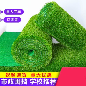 仿真草坪地毯人造户外假草皮塑料人工绿色装饰绿植足球场幼儿园垫F8 不满50平方可零裁