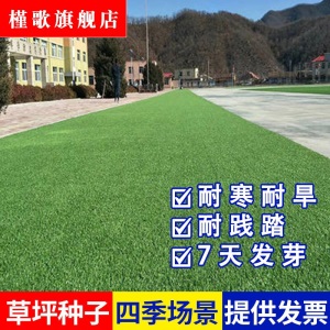 草坪种子草皮草籽四季青狗牙根护坡绿化草籽黑麦草种子庭院美国四季青耐寒四季长青剪股颖免修剪庭院专用槿歌