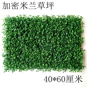欧悟 塑料草坪人造草皮带花室内植物绿植花卉墙客厅橱窗阳台装饰仿真草坪