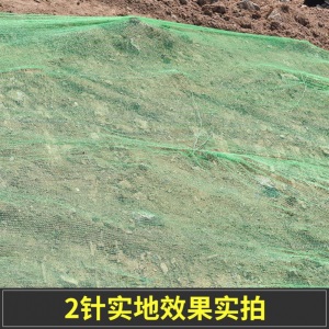 建筑网安工地工程防尘绿化盖土网绿网电梯彩色防护网阻燃密目网