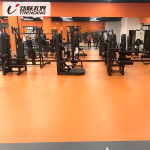 动联无界健身房地垫室内运动地胶羽毛球乒乓球篮球场地胶垫健身pvc塑胶地板加厚5.0mm