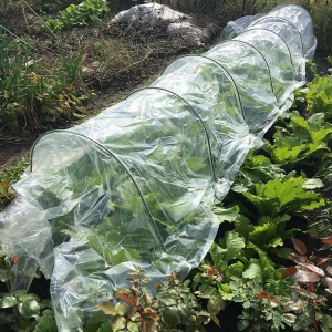 塑料保温棚多肉植物暖房防冻家庭菜园温棚膜 宽3.0米*长5.0米 8丝