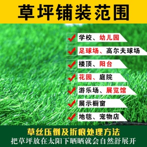 人造仿真草坪地毯幼儿园绿色绿植塑料围挡户外装饰垫足球场人工假草皮千姿秀 2厘米加密加厚春草【