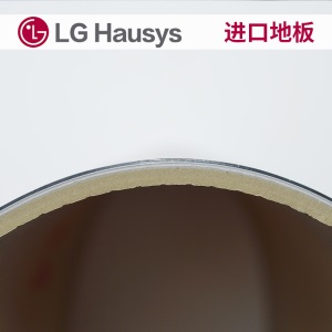 LG Hausys PVC塑胶软地板 进口弹性地板 环保防水耐磨消音健身房舞蹈室地胶 4.0mm