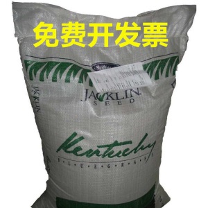 风中劲草草坪种子草籽绿化草坪草籽庭院小区别墅道路矮生草皮种子耐践踏免修剪护坡固土草种多年生耐寒