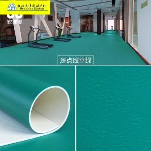 舞蹈室运动地板PVC塑胶地板地板垫地板胶健身房篮球馆街舞地胶