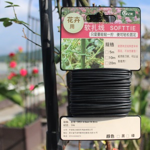 植物固定扎线绑枝捆扎爬藤铁丝线月季欧月花卉架子绳绑丝扎丝 φ2.5mm×10米 绿色