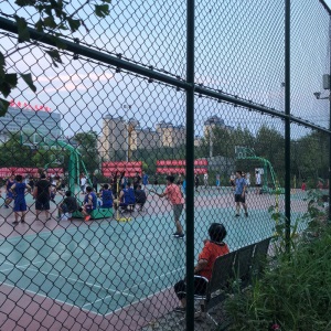 金石榴农资专营店  球场围栏体育场防护网围网铁丝网包塑勾花网镀锌护栏网足球篮球场 5米6米高双层-含横梁立柱配件