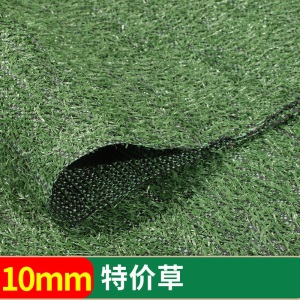 仿真草坪地毯假草皮户外人造绿色塑料装饰人工绿化围挡幼儿园工地