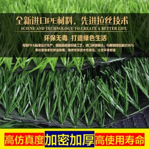 仿真草坪人造草皮垫子假草绿色户外室绿色客厅绿草地毯垫子墙面绿草仿真草皮草坪假草草皮水果店装饰品 1厘米翠绿【工程】/㎡
