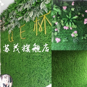 苏茂 仿真草坪塑料草坪绿植墙阳台室内装饰假草坪人造草皮绿色植物墙