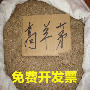 风中劲草草坪种子草籽绿化草坪草籽庭院小区别墅道路矮生草皮种子耐践踏免修剪护坡固土草种多年生耐寒