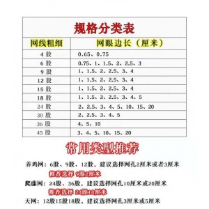 大棚果园防鸟网天网家禽养殖网养鸡网尼龙网拦鸡围网防鸟网护栏网球场网爬藤网
