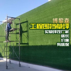 仿真草坪人造围挡建筑外墙工地绿化假草工程围墙草皮户外楼顶环保