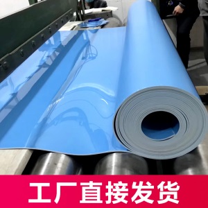 舞蹈房专用地胶教室pvc塑胶舞蹈室地板幼儿园防滑加厚地垫