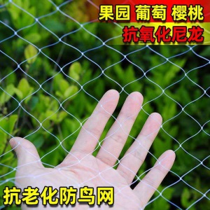 果园防鸟网葡萄大棚保护网家用果树网防鸟用的网鱼塘养殖网农业用