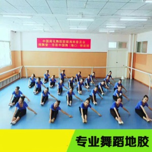 瑜伽地胶民族舞蹈房地胶芭蕾舞蹈训练厅地板胶地毯PVC塑胶地板