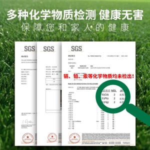 呱呱鸟 人造草坪 假草皮 仿真塑料草坪 幼儿园室外阳台地毯 户外草皮 绿背胶 5#15mm工程特密柔软加厚草