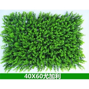 美乐君 仿真草坪植物墙人造草坪假草皮室内阳台装饰绿植壁挂背景墙绿植墙