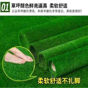 夺秀 人造草坪地毯 仿真草坪绿植假草坪 楼顶阳台户外别墅塑料人工草坪垫子加密加厚幼儿园草坪假草皮 【新国标环保】2厘米高档网格春草/平方