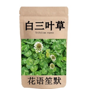 四季播种多年生白三叶草种子红三叶草种子红花绿化种子净籽草种易活四季草坪种子