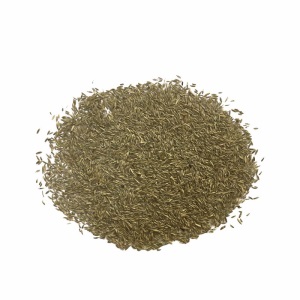 草坪种子（一斤）马尼拉草四季青耐践踏庭院绿化草种子 护坡草籽耐旱狗牙根小区绿化护坡施工包衣