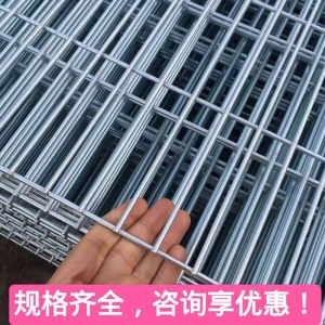 防鼠镀锌养殖铁丝网片鸽棚鸽舍地网围网鸡鸭兔狗笼底网阳台防护网 2mm粗2.5*13.5cm长孔