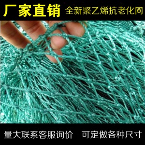 家禽养殖网养鸡网尼龙网拦鸡网防鸟网护栏网球场网爬藤网养殖围栏网