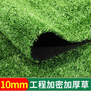 仿真草坪地毯假草皮户外人造绿色塑料装饰人工绿化围挡幼儿园工地