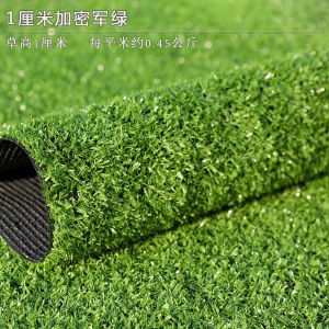 花击长空 塑料草坪地毯仿真人工假草皮草坪人造绿植室内装饰户外阳台球场幼儿园