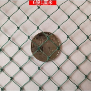 大棚果园防鸟网天网家禽养殖网养鸡网尼龙网拦鸡围网防鸟网护栏网球场网爬藤网