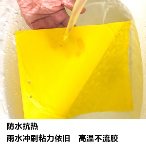 黄板大棚户外双面粘虫板诱虫板纸贴黄色沾黏虫板灭小飞虫粉虱蚊蚜虫果蝇粘虫纸蓝板蓟马茶果园苍蝇蔬
