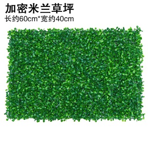 元井汇 仿真草坪绿植墙仿真植物墙装饰室内背景花墙面塑料假草皮人造草坪阳台门头 吉祥草（带花）