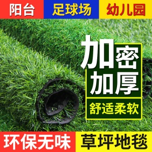 乐美君 仿真草皮墙人工草坪地毯垫子假草绿色假草坪人造塑料草坪装饰仿草学校幼儿园彩虹跑道地面装饰