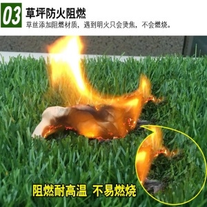 金之春（Jinzhichun） 仿真草坪地毯塑料假草皮 绿植人造草坪阳台户外人工草坪幼儿园假草坪 30mm春草加密加厚（仿生款/大机生产）1平方