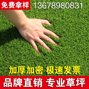 【真厂家底价！】满铺人造草坪仿真假草坪地毯塑料足球场草皮幼儿园室外阳台楼顶工地围墙围挡绿化假草地