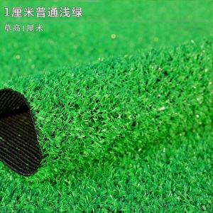 草坪垫子工程围挡假草绿色人造人工草皮户外仿真装饰地毯塑料绿植