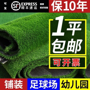 草坪地毯人造草坪仿真草坪人工草皮户外幼儿园学校绿色假草皮装饰 1.0CM翠绿 普通款