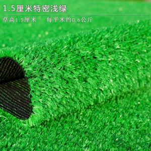 花击长空 塑料草坪地毯仿真人工假草皮草坪人造绿植室内装饰户外阳台球场幼儿园