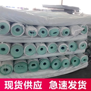 舞蹈房专用地胶教室pvc塑胶舞蹈室地板幼儿园防滑加厚地垫