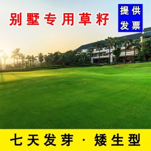 草坪种子草籽护坡草种狗牙根四季青草籽高羊茅黑麦果岭草披碱草球场别墅庭院护坡耐寒旱耐践踏不修剪四季常青