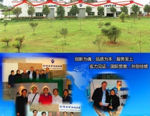 11立方/小时一体化沙缸水泵过滤游泳池石英砂循环砂缸水处理设备