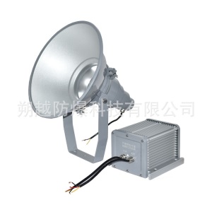 防震型投光灯NTC9210金卤灯220V 400W 1000W体育场广场户外照明灯