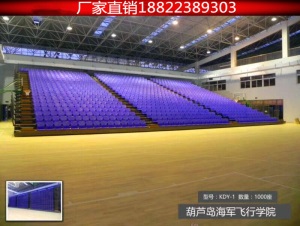体育馆电动伸缩看台场移动折叠活动座椅影剧院阶梯观众席座椅