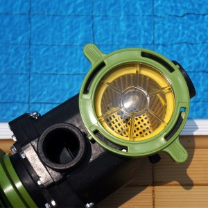 Piscine 碧池游泳池设备 过滤循环水泵 带毛发聚集器 PPS系列 PPS-030/220V（