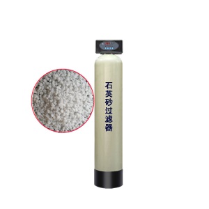 水处理4吨/时泥沙过滤器厂家直销 泳池专用水处理去除泥沙过滤器