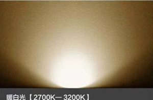 LED灯投光灯70W大功率户外灯防水高亮泛光灯隧道灯照树灯厂家批发