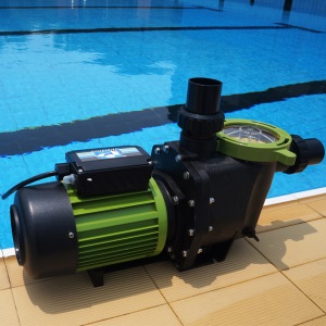 Piscine 碧池游泳池设备 过滤循环水泵 带毛发聚集器 PPS系列 PPS-030/220V（