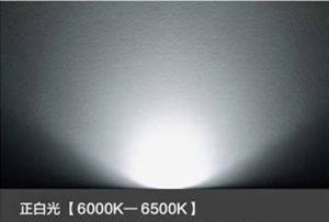 LED灯投光灯70W大功率户外灯防水高亮泛光灯隧道灯照树灯厂家批发