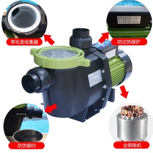 Piscine 碧池游泳池设备 过滤循环水泵 带毛发聚集器 PPS系列 PPS-030/220V（